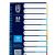 LION PAPER INDEX 10 COLOURS TAB 150gsm