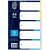LION PAPER INDEX 5 COLOURS TAB 150gsm