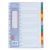 LION  A4 PLASTIC DIVIDER 0.13mm COLOURS 12 TAB