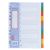 LION  A4 PLASTIC 0.13mm DIVIDER 10 TAB