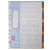 LION  A4 PLASTIC DIVIDER COLOURS 20 TAB