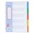 LION. A4 PLASTIC DIVIDER COLOURS 5 TAB 0.13mm
