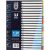 LION PAPER INDEX 20 COLOURS TAB 150gsm
