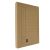LION METAL FLAT FILE BUFF