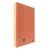LION METAL FLAT FILE ORANGE