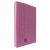 LION METAL FLAT FILE PINK